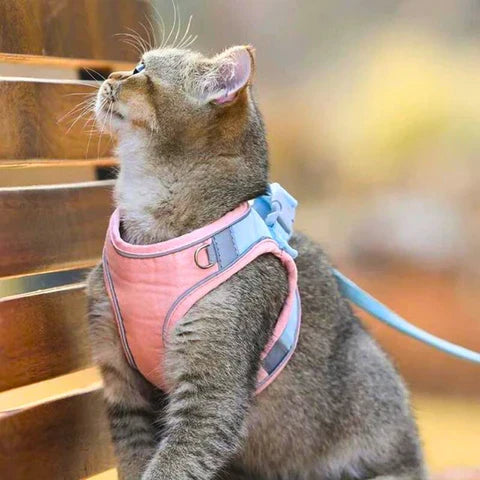 Behagelig og sikker katte sele - Ideell for turer