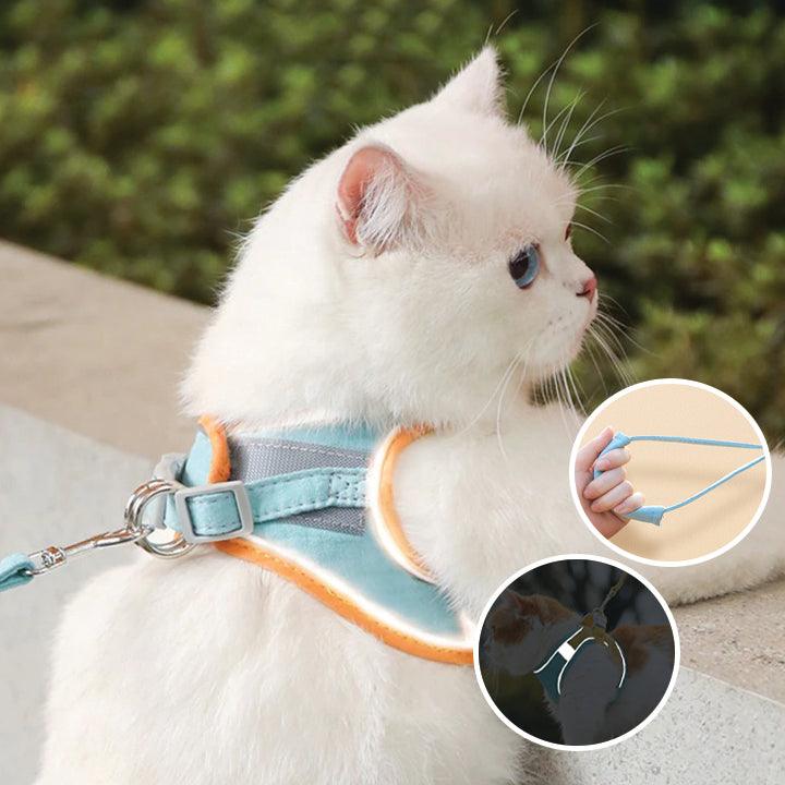 Behagelig og sikker katte sele - Ideell for turer