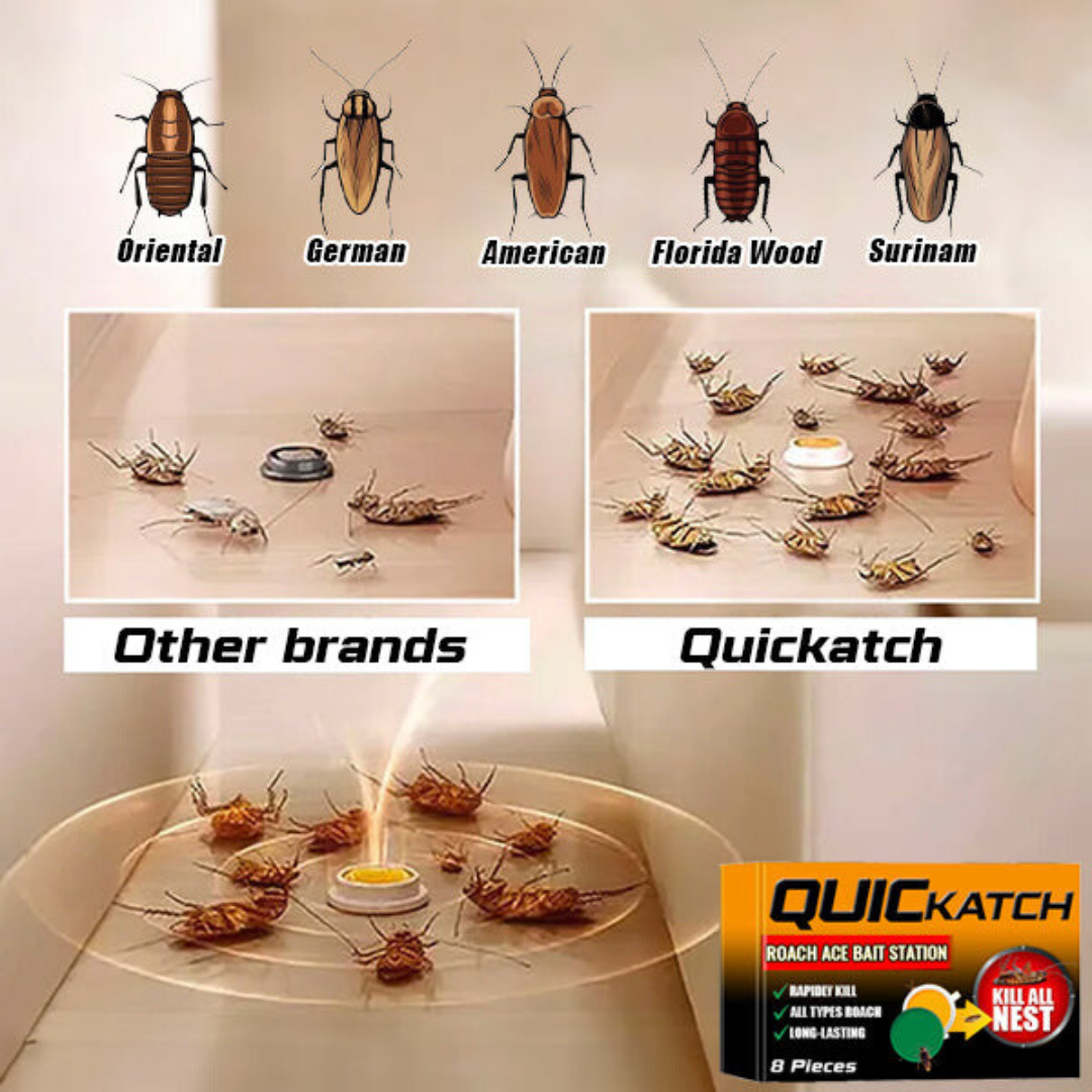 Cockroach bait station