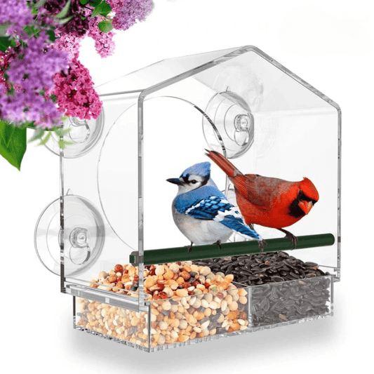 Alimentador de aves premium para ventanas